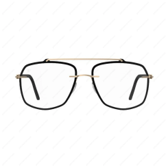 SILHOUETTE L001 9020 Contours Accentues SILHOUETTE L001 9020 Contours Accentues