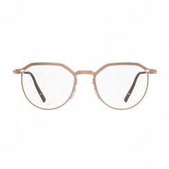 SILHOUETTE 5596 3530 Titanium Reframed