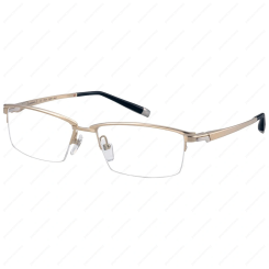 CHARMANT Z 27027 WG